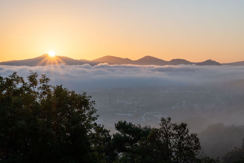 Naturaufnahme Sonnenaufgang im Siebengebirge Rhein im Nebel