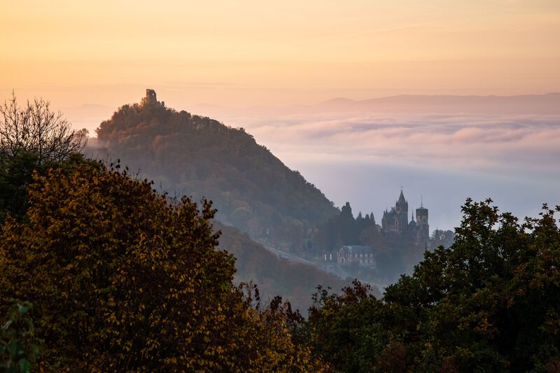 Naturaufnahme vom drachenfels mit der Burgruine und dem Schloss der Rhein ist im Nebel versunken