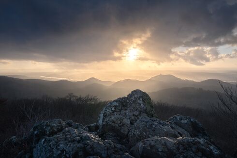 Naturaufnahme vom Siebengebirge bei Nebel