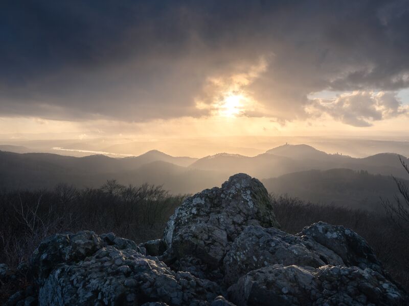 Naturaufnahme vom Siebengebirge bei Nebel