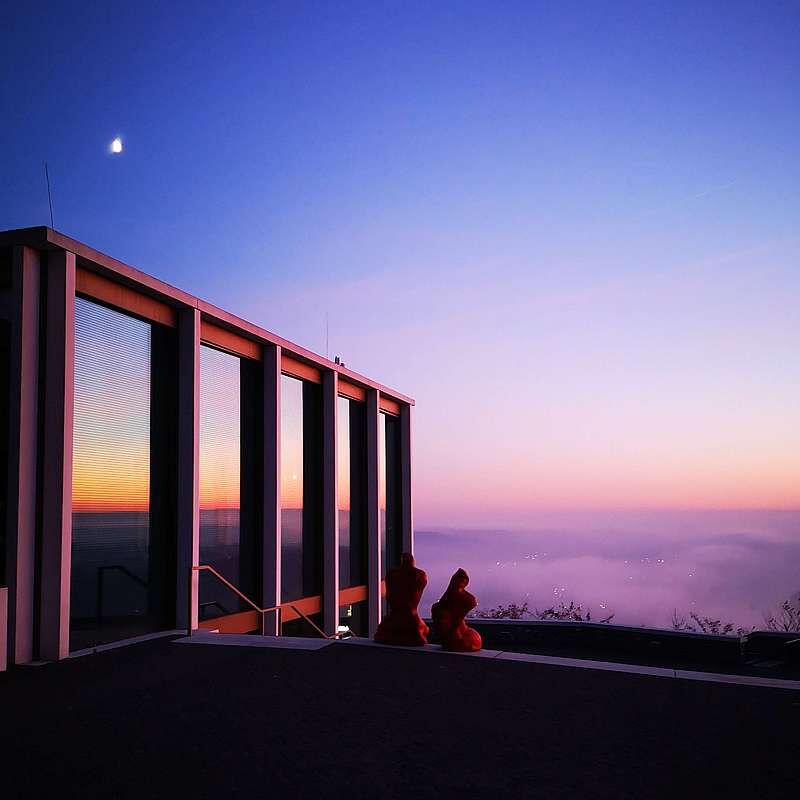 Glaskubs bei Sonnenuntergang