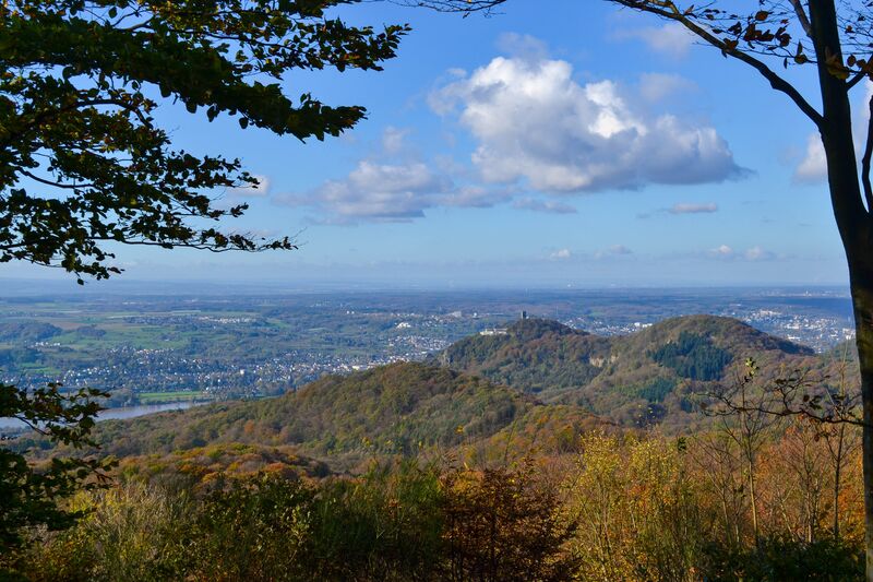 Blick auf die Burgruine und das Rheintal